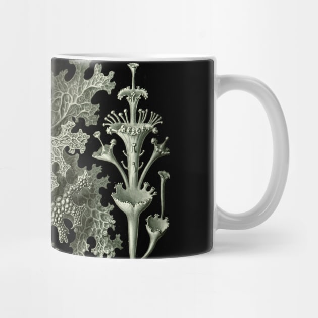 Naturalist Lichen by bluespecsstudio